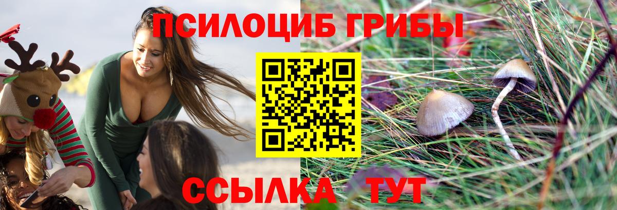 Галлюциногенные грибы мухоморы Лесной